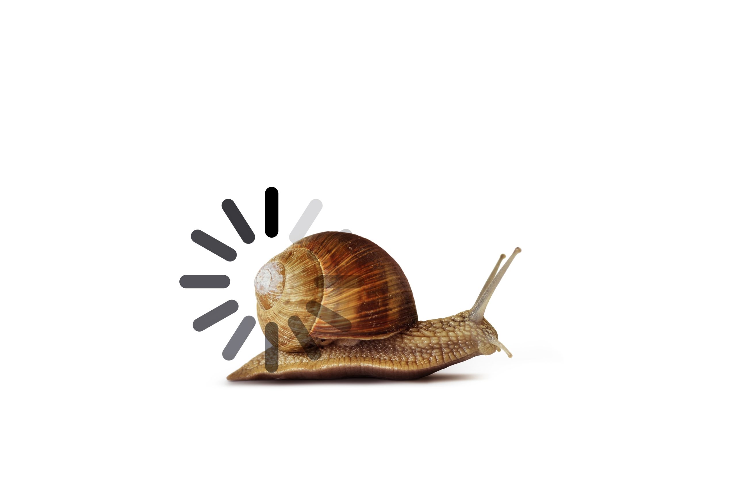 Snail with a loading spinner overlay, symbolizing slow load times